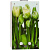 Колонка газовая Genberg Декор-еко 210.01 тюльпаны 10л 