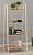 ЗМИ Стеллаж "Скандинавия 24" (SCANDINAVIA 24 Shelf rack) CТCП24 Б