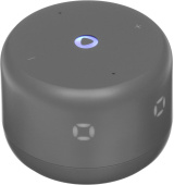 ЯНДЕКС Станция Лайт 2 на YaGPT, модель YNDX-00026 (серый)