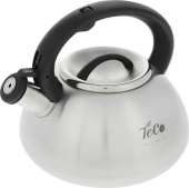 TECO TC-101 нерж. 3л.