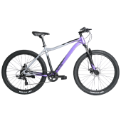 Велосипед женский TechTeam  Elis 29"х19 фиолетовый