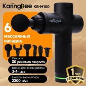 KARINGBEE KB-M200