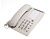 ВЕКТОР 556/02 NEW (WHITE)